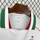 JERSEY PALMEIRAS II 26 HOMBRE